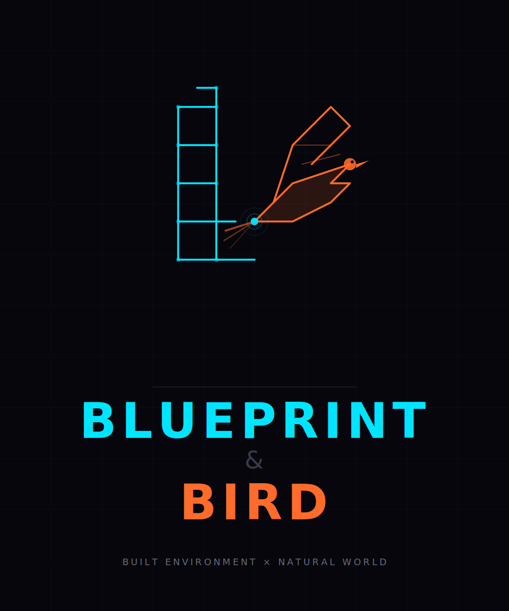 Blueprint & Bird